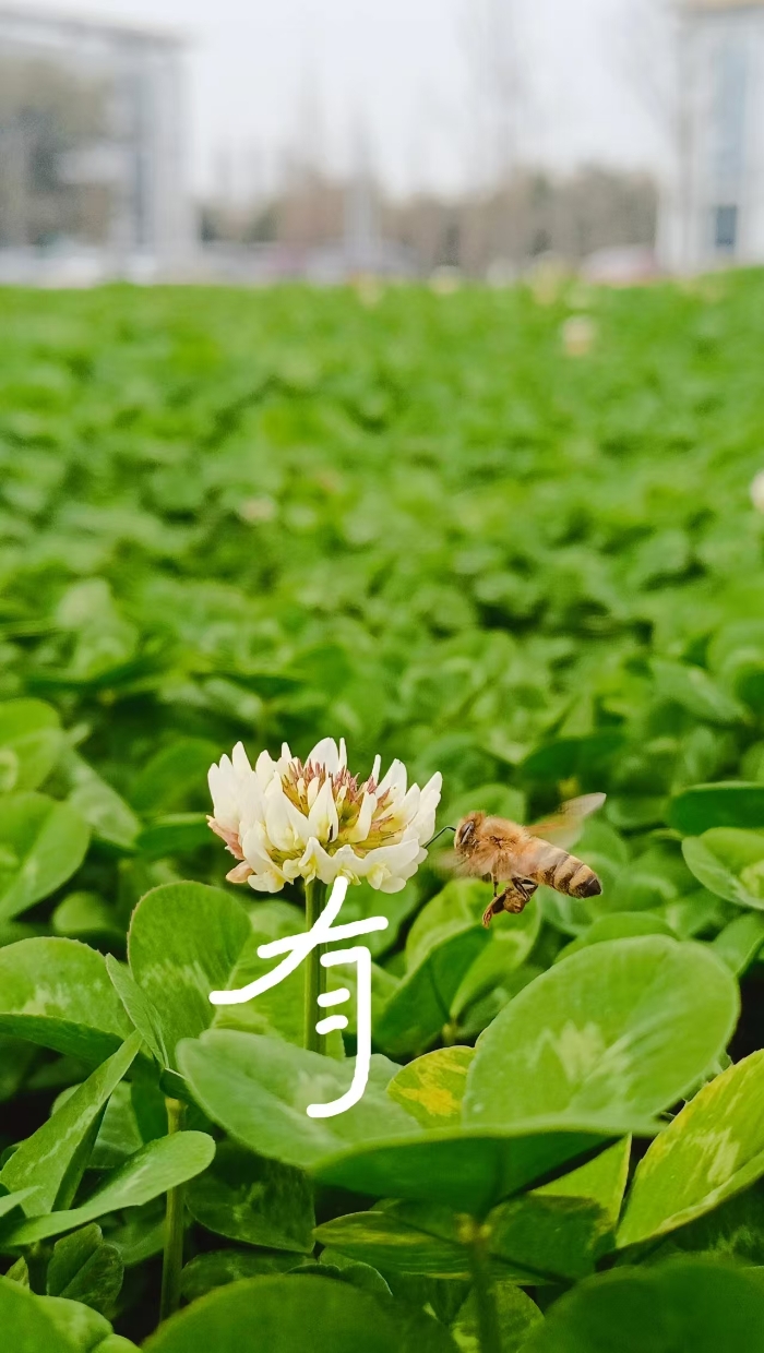 &#80;&#71;&#30005;&#23376;