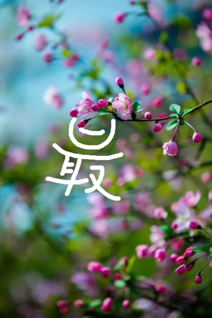 &#80;&#71;&#30005;&#23376;
